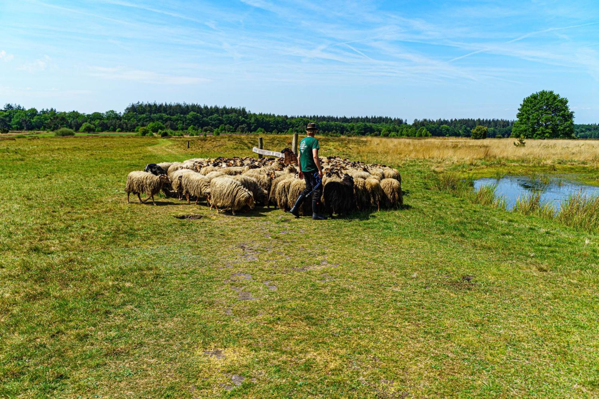 Mini Camping Drentse Monden Nieuw-Weerdinge Eksteriør billede