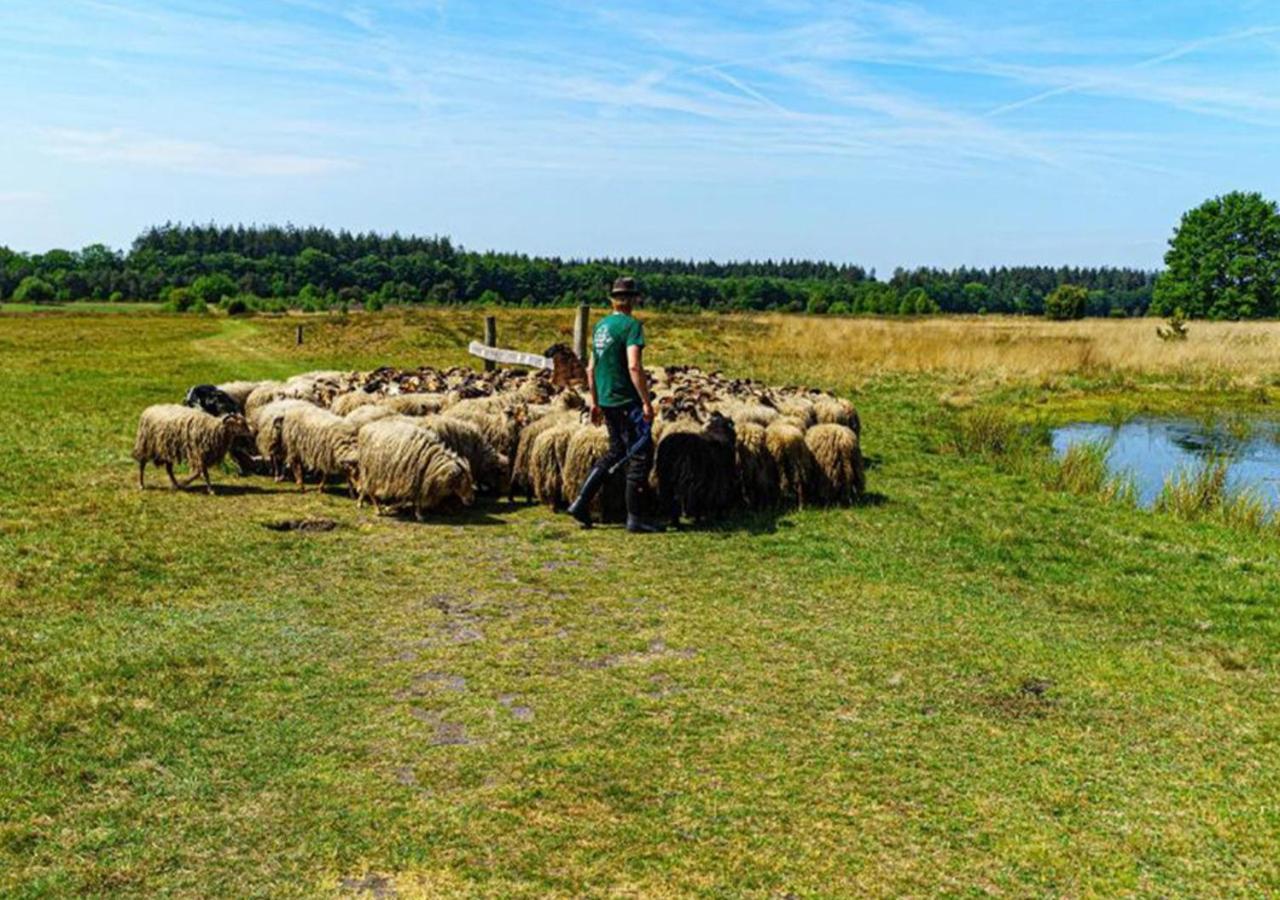 Mini Camping Drentse Monden Nieuw-Weerdinge Eksteriør billede